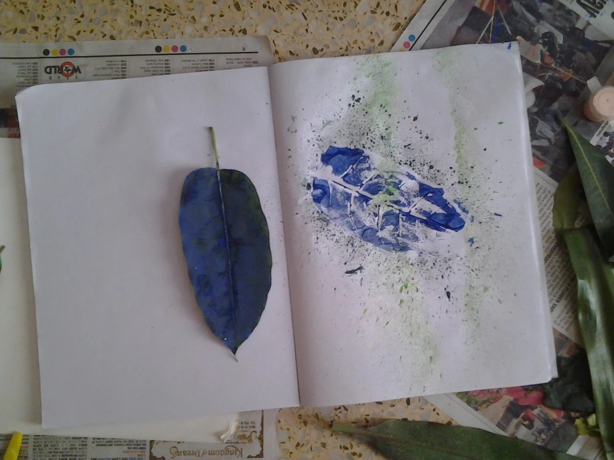 A Leaf and a Toothbrush