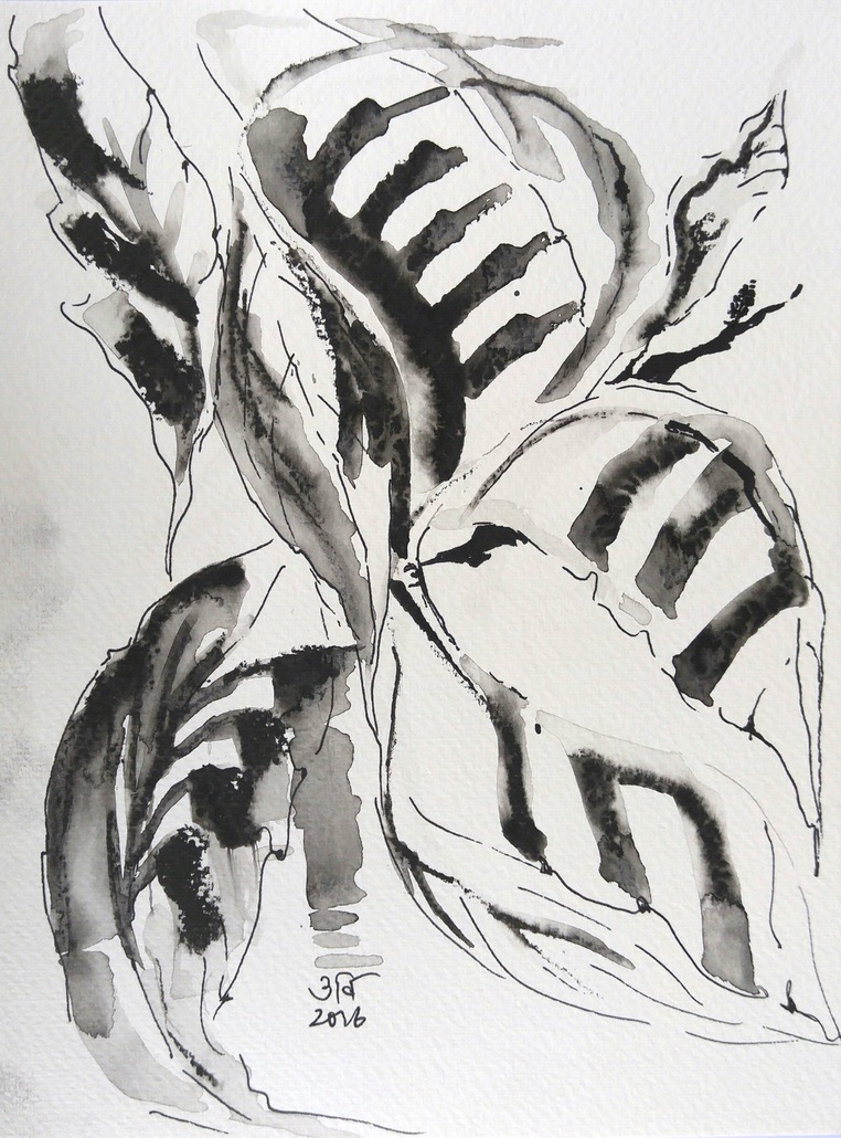 2FA0754C-5172-4D08-BA0F-7A10FA9067C0_1_105_c