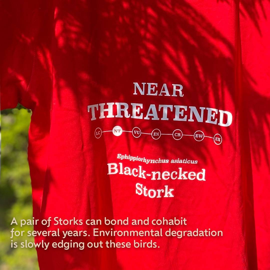 5658CA33-D11E-44F6-A300-06EBF3374D1C