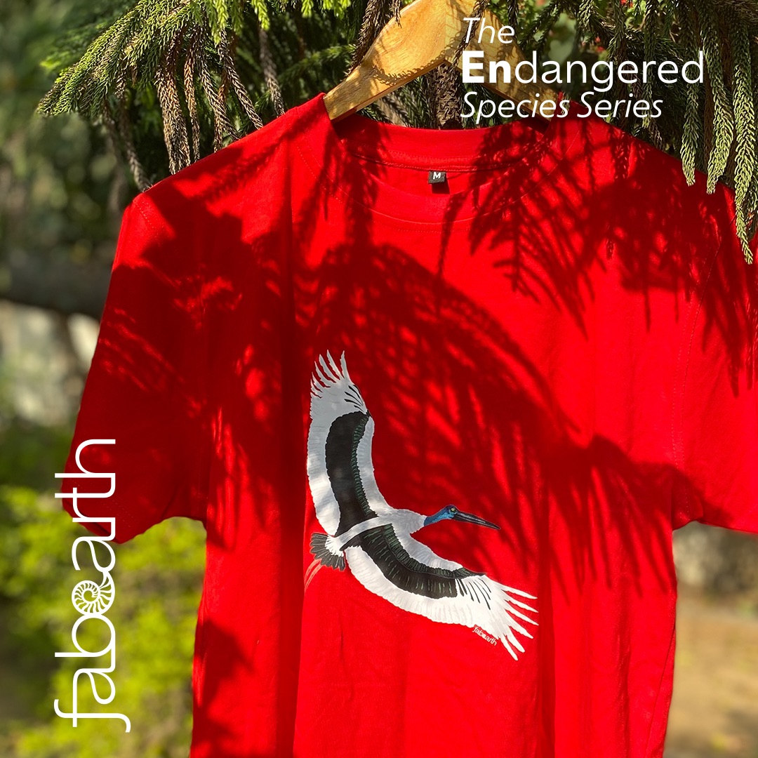 6BEC4C33-28DD-482C-B7AC-5D976DC436D0 1