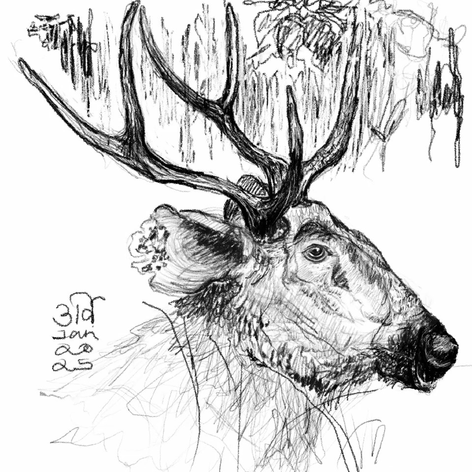 79EB23A9-773D-4182-8D1A-BB52F1D6951C.poster