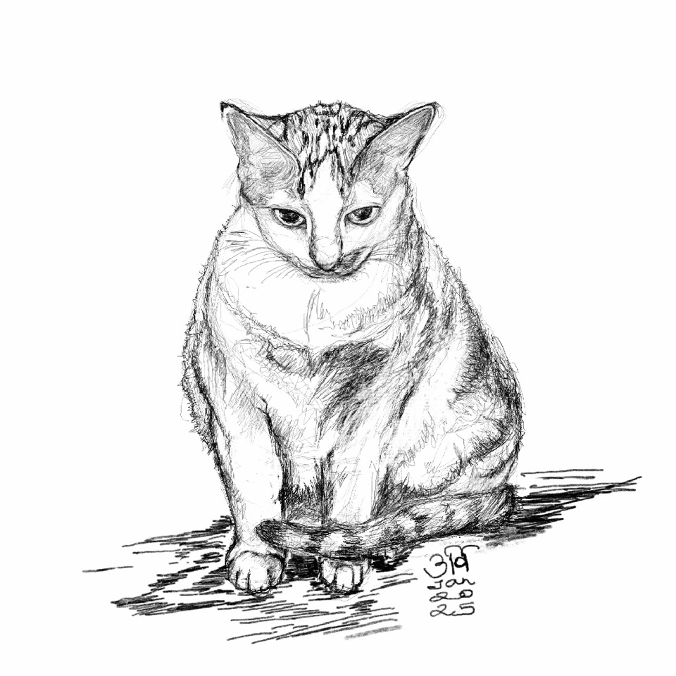 7B42C9A6-589A-474C-9A86-3DBB043FC969.poster