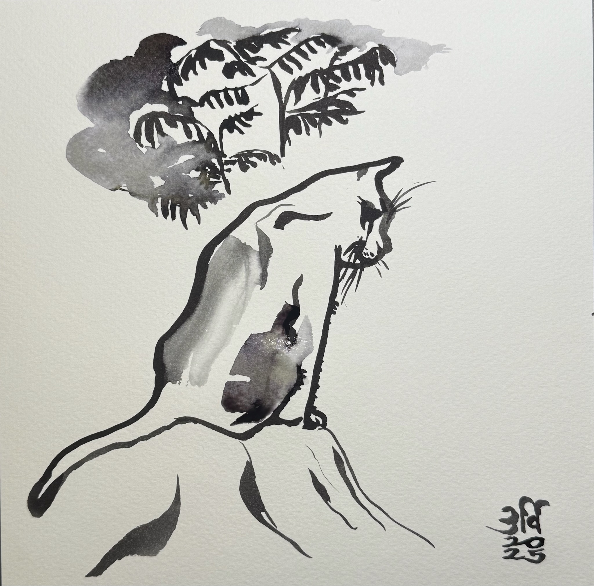 B3AB203C-E00A-4C14-A2F7-4A7C274373F4