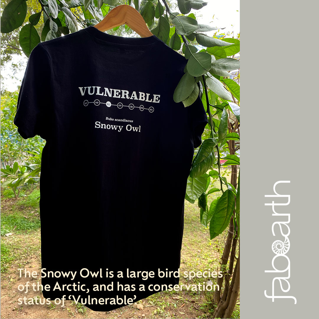 C7A993B2-91BE-4E88-98D7-B57E49F44E99