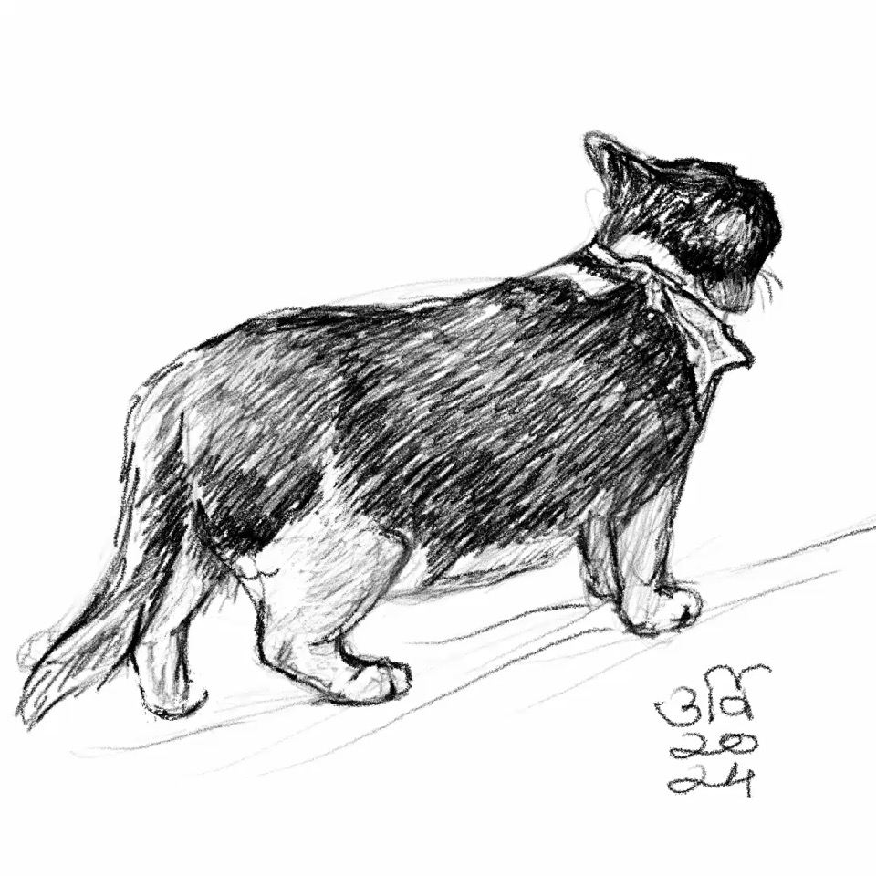 EB6D3D2A-2438-49B9-8378-0213E8A78E4A.poster