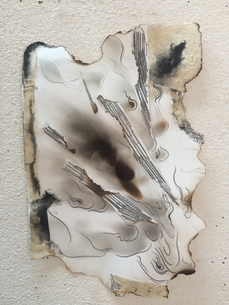 EBA462BA-9981-4E38-8D4C-456B074DC6AB_1_105_c