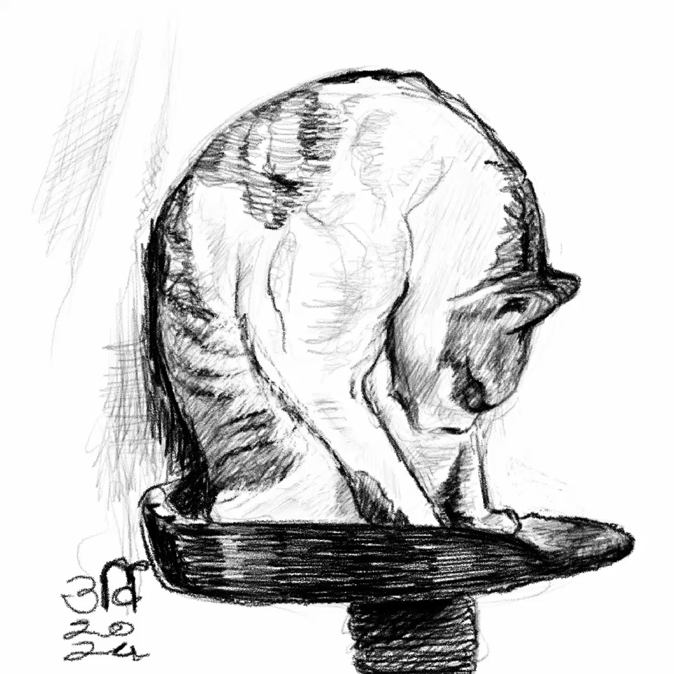 F4953F4F-9059-4ABC-982A-57F5AEEB6AE4.poster