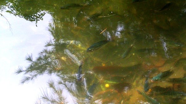 A Series of Small Things