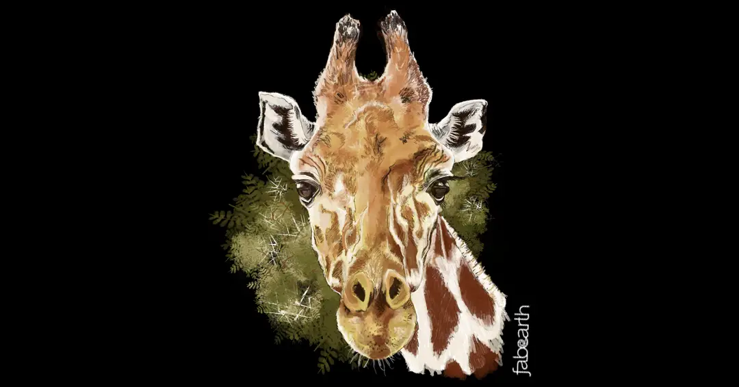 giraffe-001