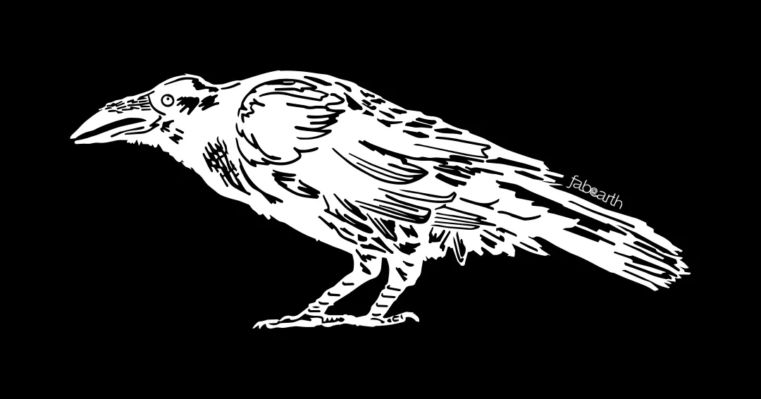 hawaiiancrow-001