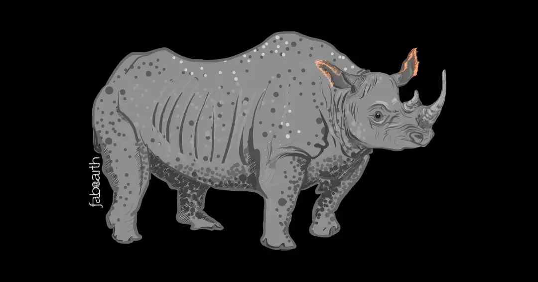 rhino-001