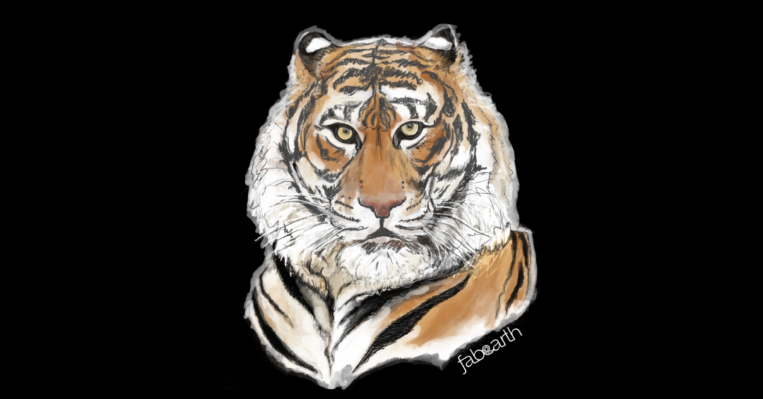 tiger-001