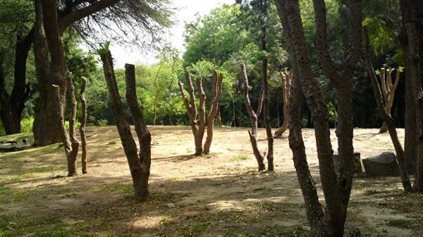 A Receptacle for Emotions