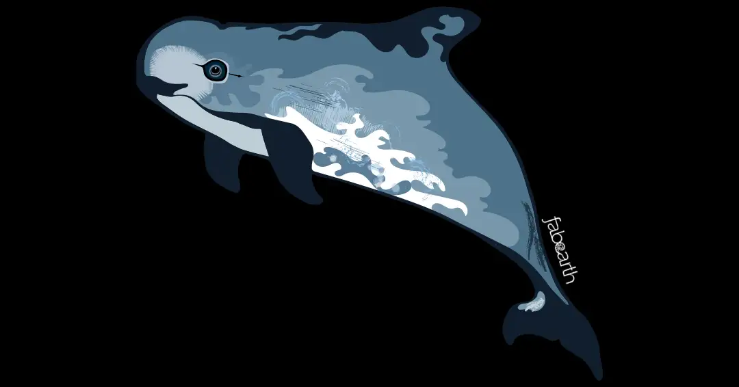 vaquita-001